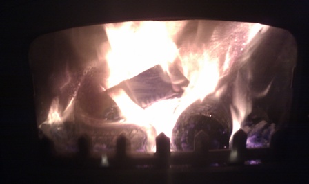 KILN DRIED LOGS SUPPLIER